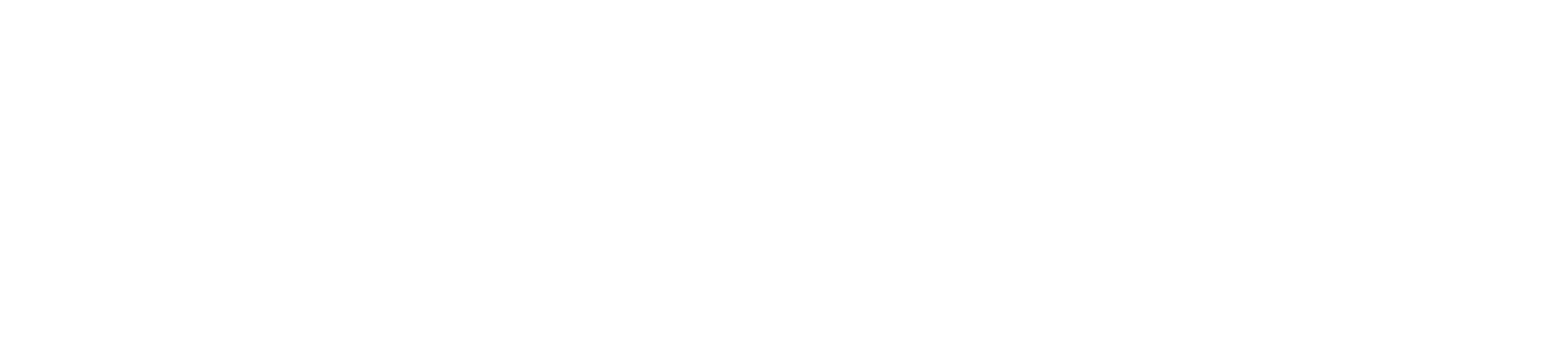 Mr DIY